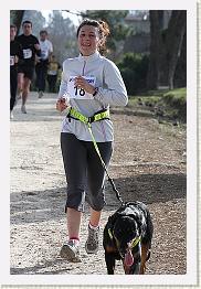 Fargues 15.02.09 3 320 * 320 x 480 * (79KB)